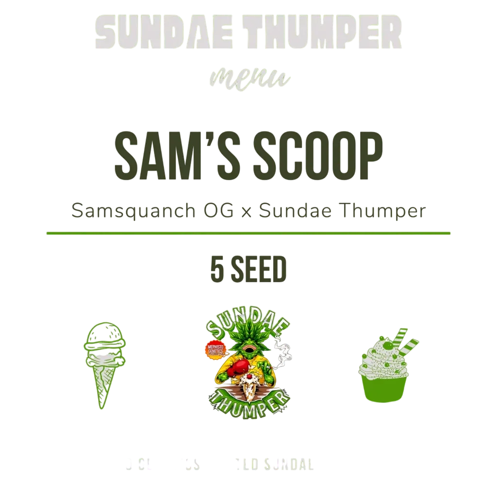 Sam's Scoop Auto | AUTOFEM | Mephisto Genetics