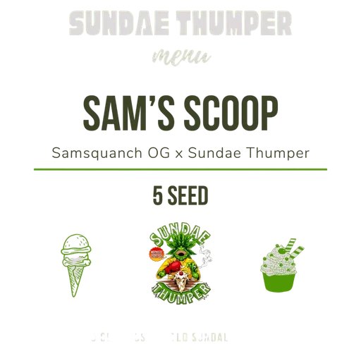 Sam's Scoop Auto