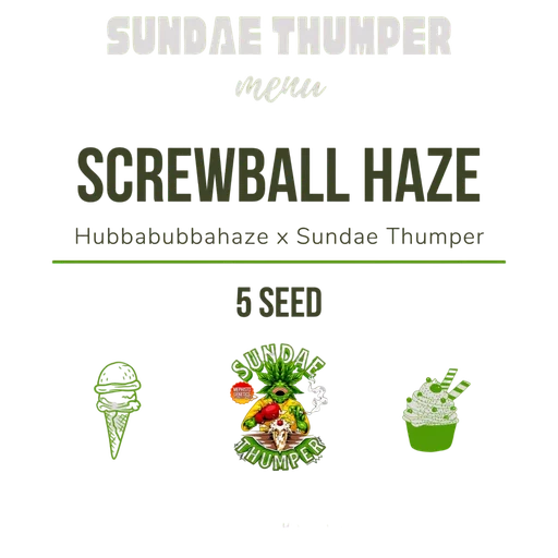 Screwball Haze Auto
