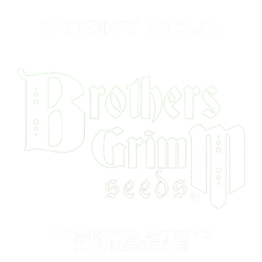 Sticky Soul | PHOTOFEM | Brothers Grimm Seeds