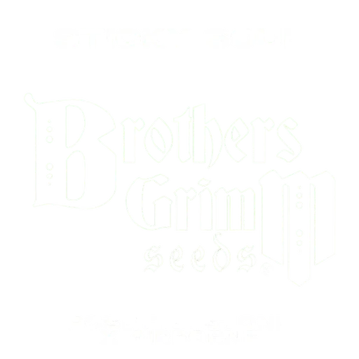 Sticky Soul