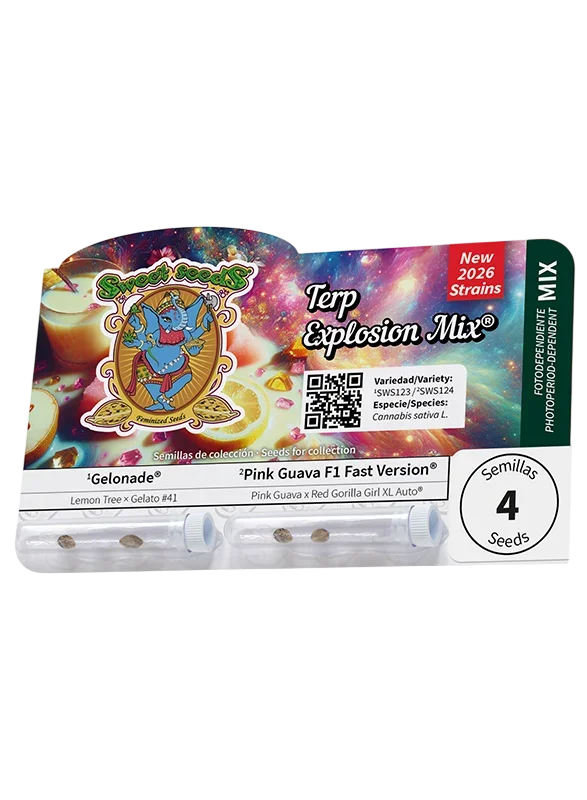 Terp Explosion Mix | PHOTOFEM | Sweet Seeds