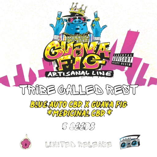 Tribe Called Rest Auto
