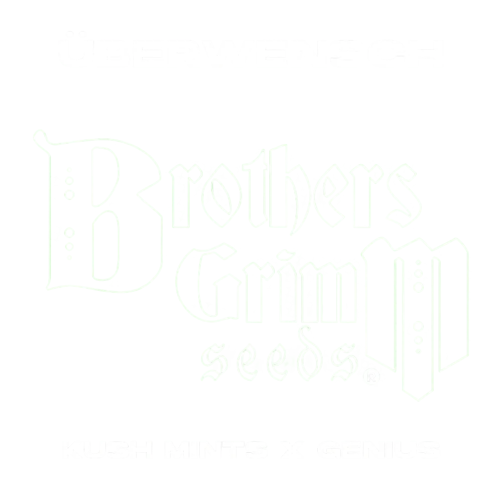 Überwensch | PHOTOFEM | Brothers Grimm Seeds