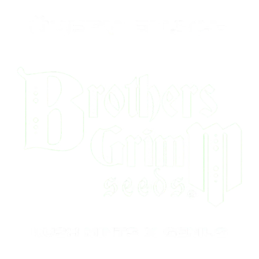 Überwensch