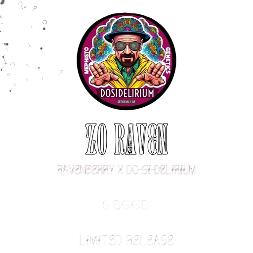 Zo Raven Auto