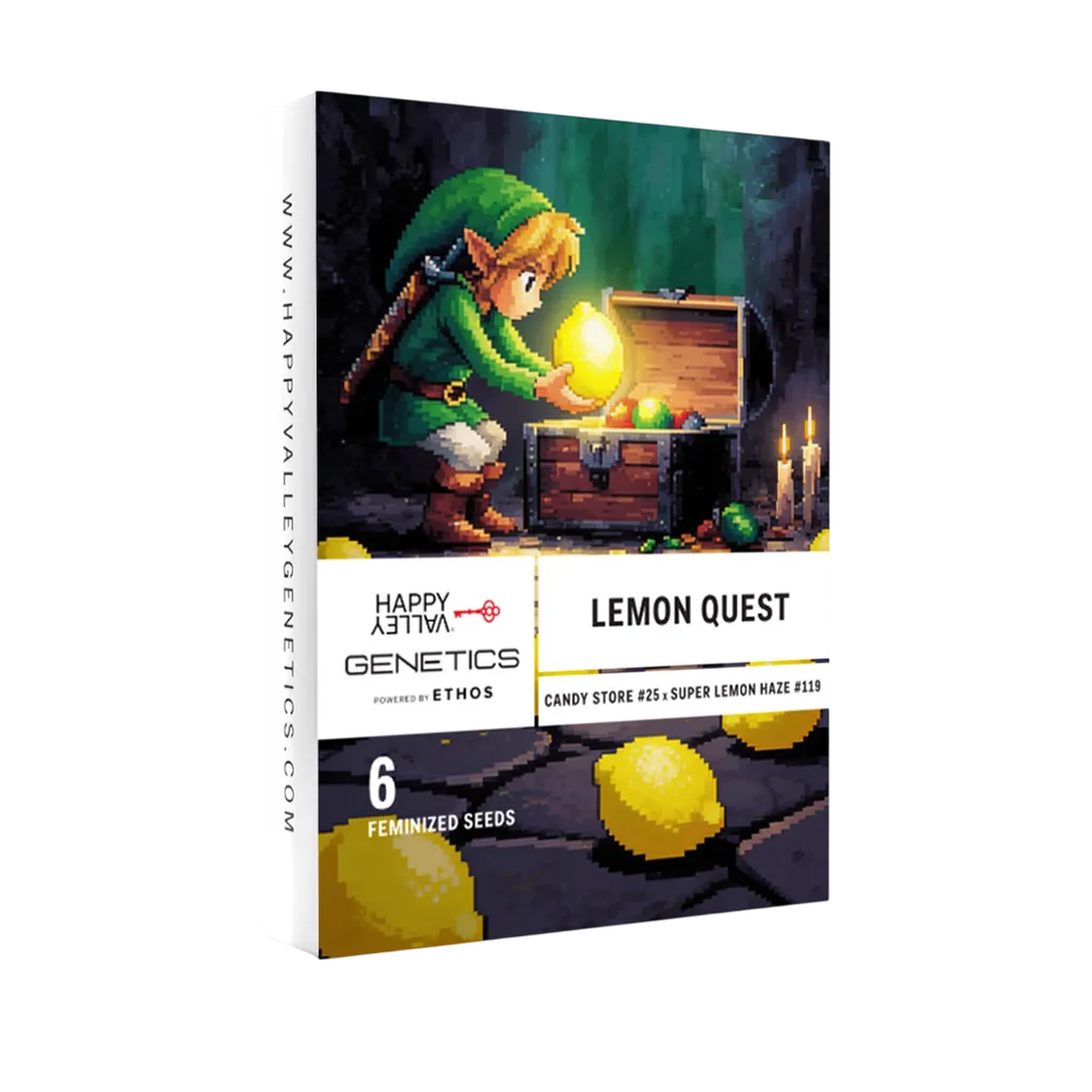Lemon Quest | PHOTOFEM | Happy Valley Genetics