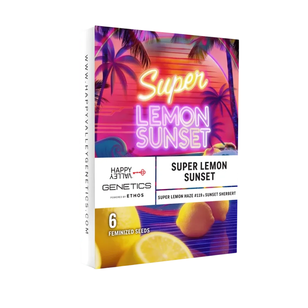Super Lemon Sunset – Produktansicht