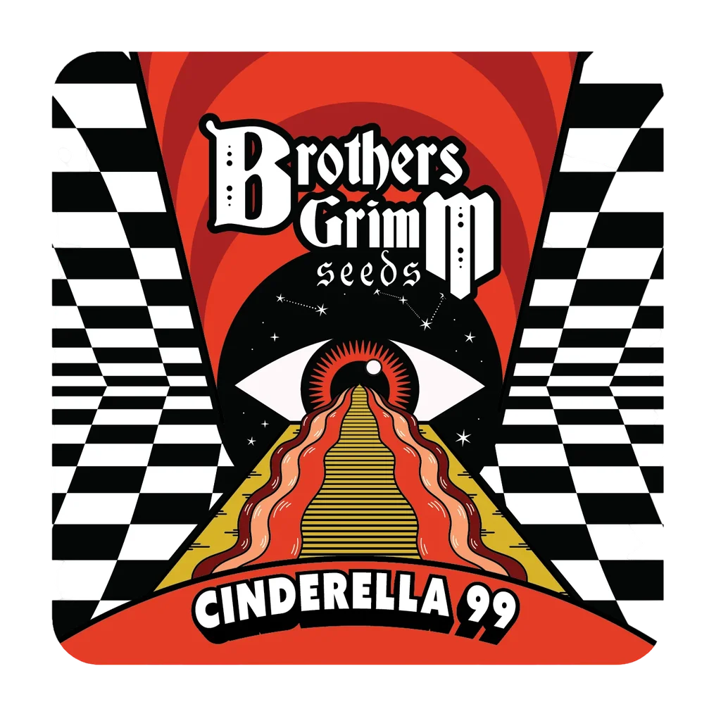 Cinderella 99 | PHOTOFEM | Brothers Grimm Seeds