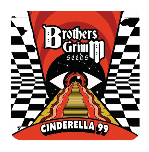 Cinderella 99 | PHOTOFEM | Brothers Grimm Seeds