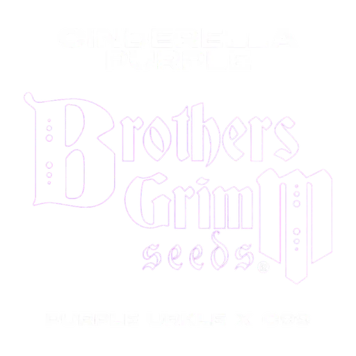 Cinderella Purple | PHOTOFEM | Brothers Grimm Seeds