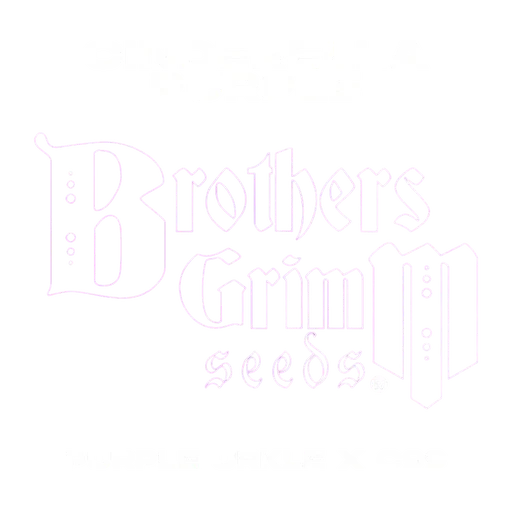 Cinderella Purple
