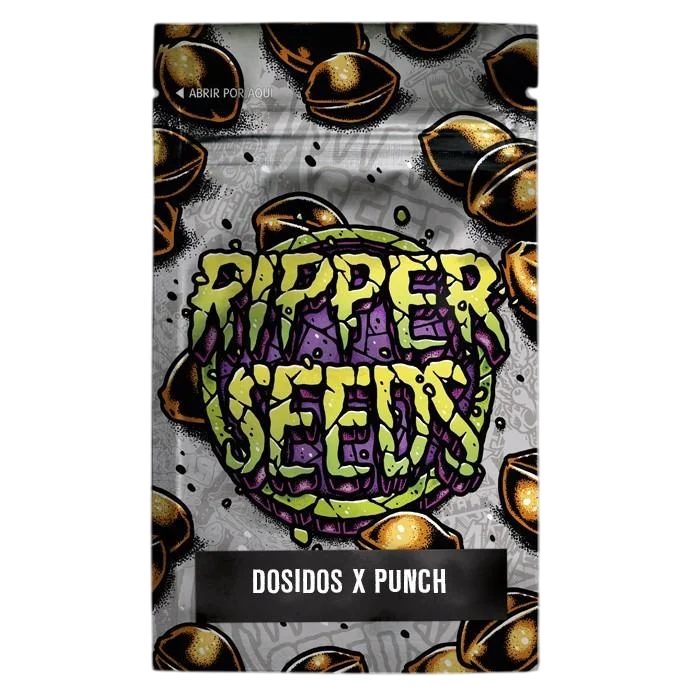 Do-Si-Dos x Purple Punch | PHOTOFEM | Ripper Seeds