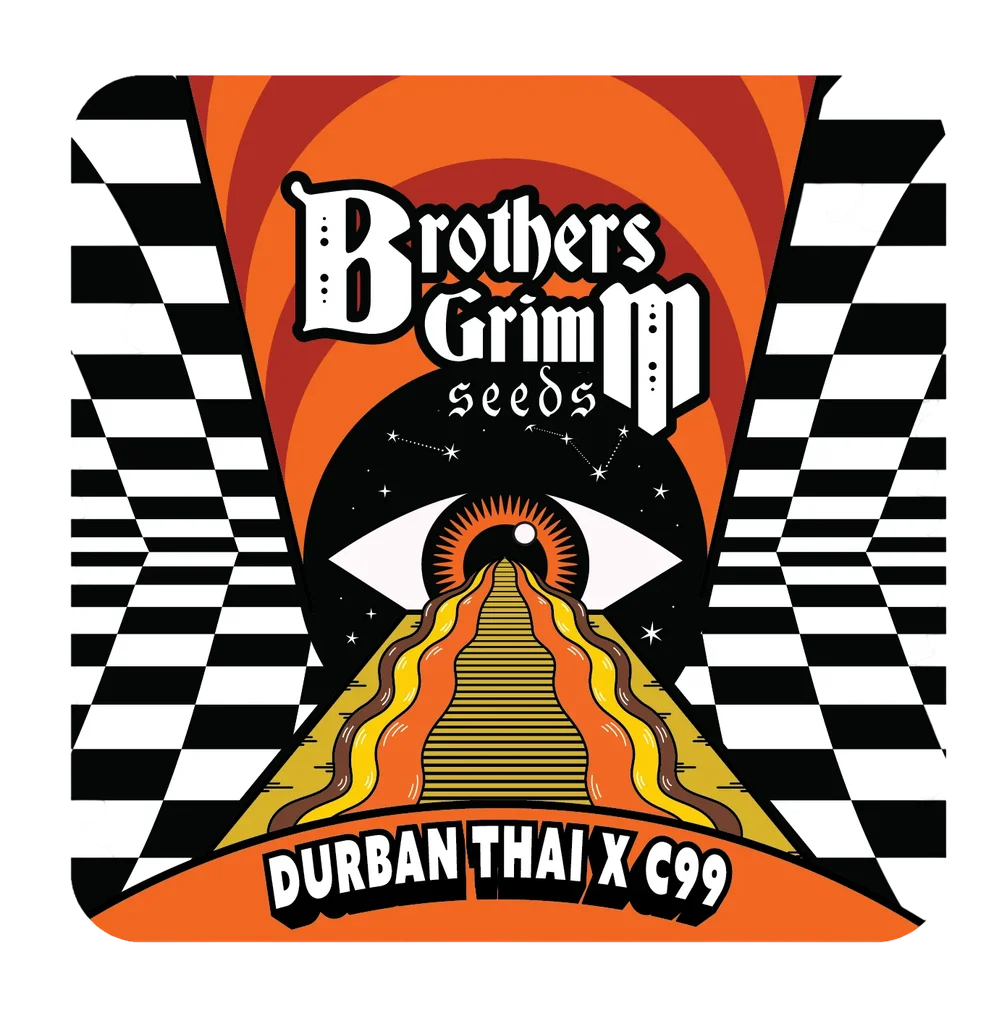 Durban Thai x C99 | PHOTOFEM | Brothers Grimm Seeds