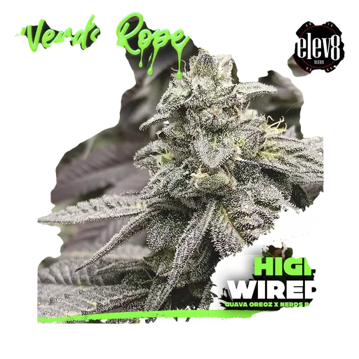 High Wired