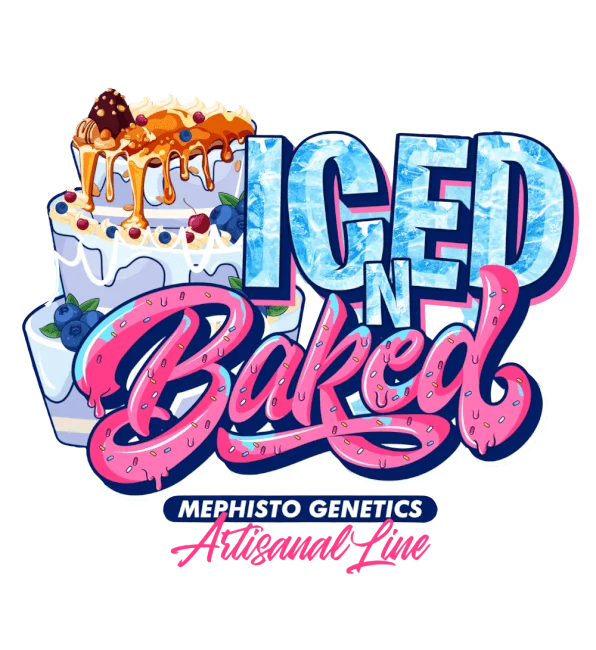Iced n Baked Auto | AUTOFEM | Mephisto Genetics