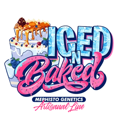 Iced n Baked Auto