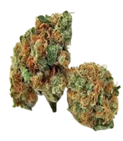 Kendawg | PHOTOREG | Grand Daddy Genetics