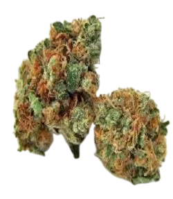 Kendawg | PHOTOREG | Grand Daddy Genetics