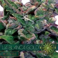 La Blanca Gold Auto | AUTOFEM | Vision Seeds