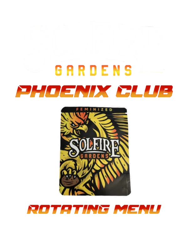 Miami Madness | PHOTOFEM | Solfire Gardens