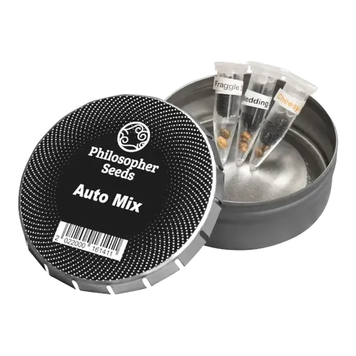 Mix Auto