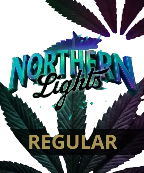 Northern Lights | PHOTOREG | Barneys Farm