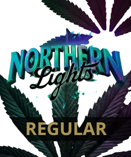 Northern Lights