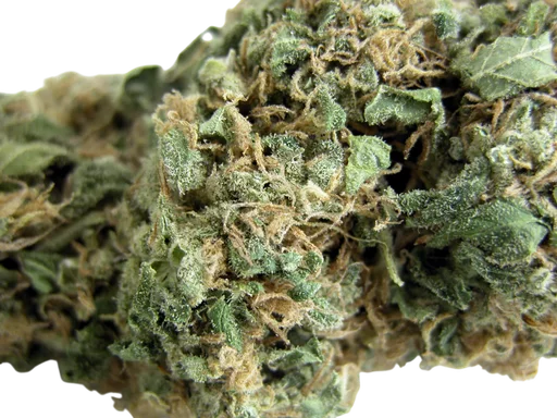 Original Skunk #1