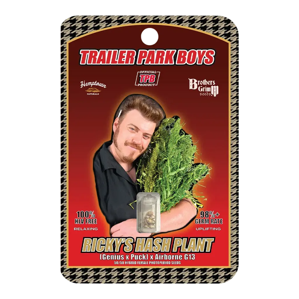 Rickys Hash Plant | PHOTOFEM | Brothers Grimm Seeds