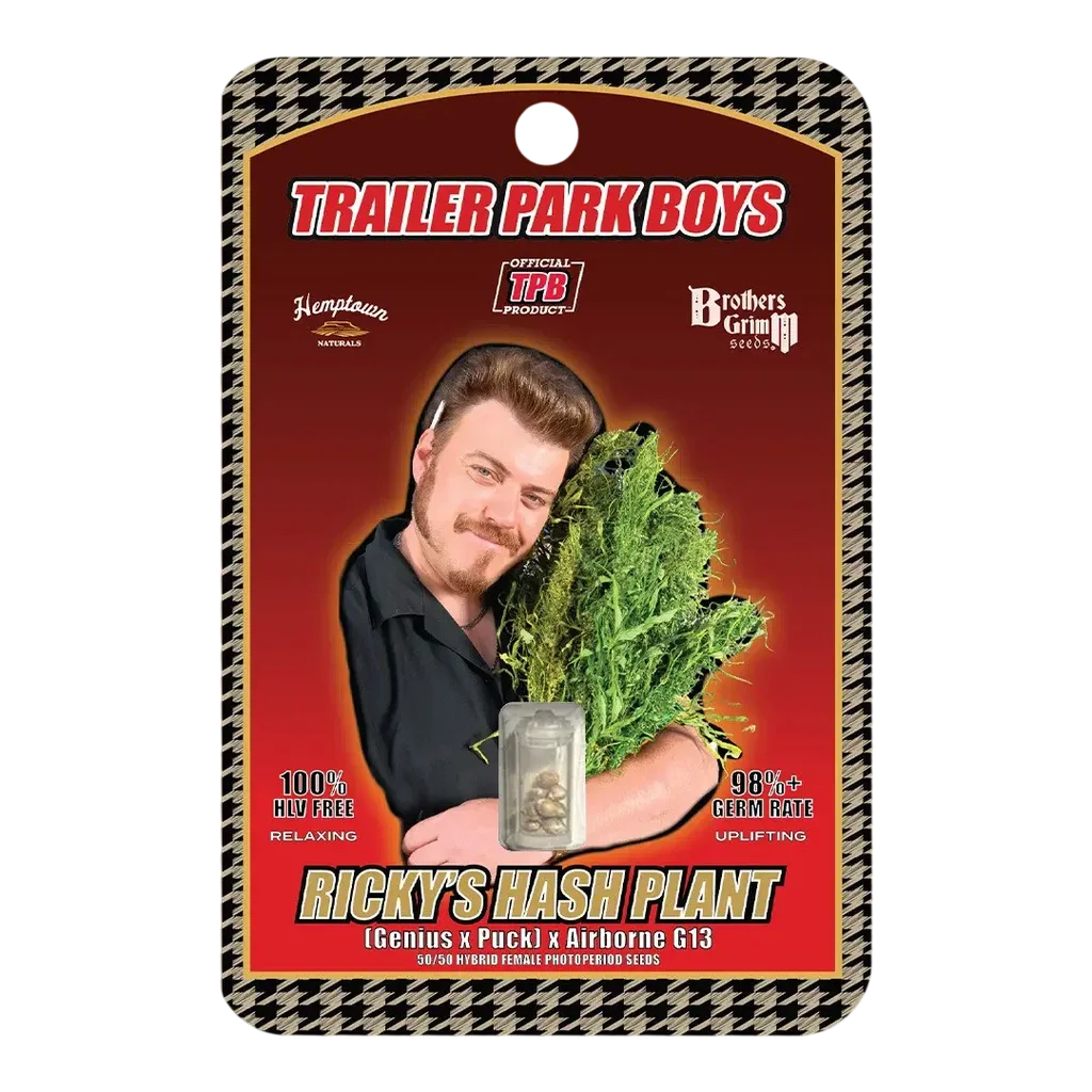 Rickys Hash Plant | PHOTOFEM | Brothers Grimm Seeds