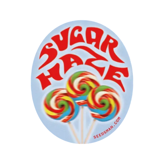 Sugar Haze | PHOTOREG | Tiger One Bulk