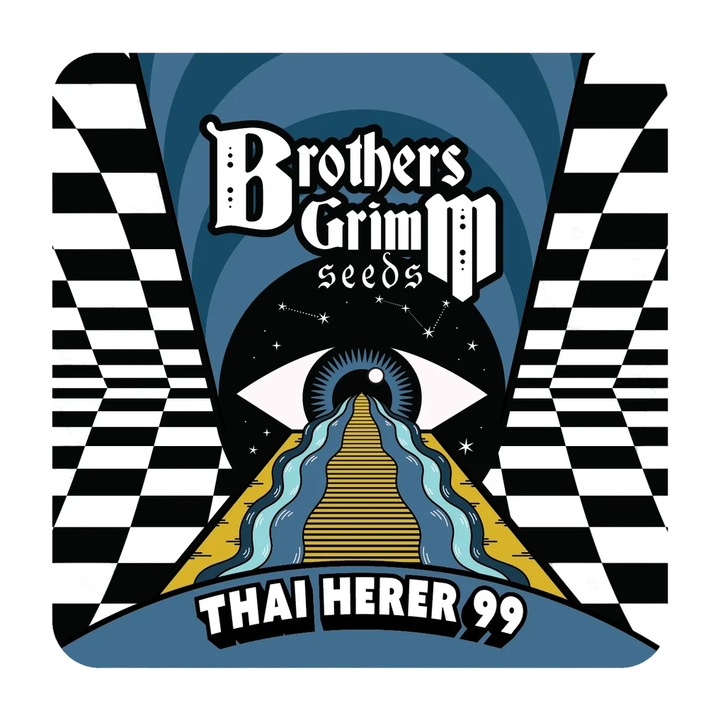 Thai Herer 99 | PHOTOFEM | Brothers Grimm Seeds