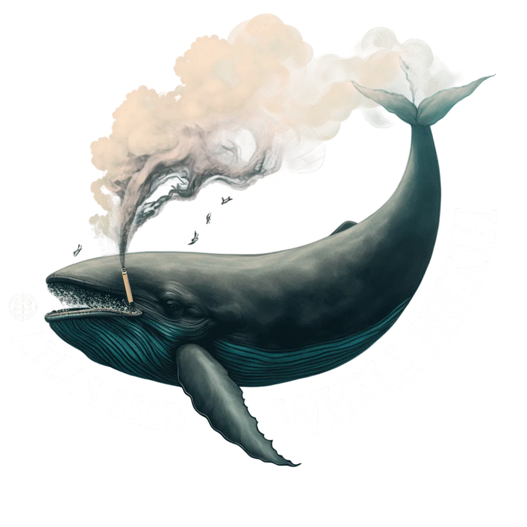 Whale Breath | PHOTOFEM | Atlas Seed