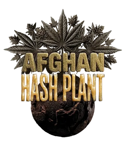 Afghan Hash Plant