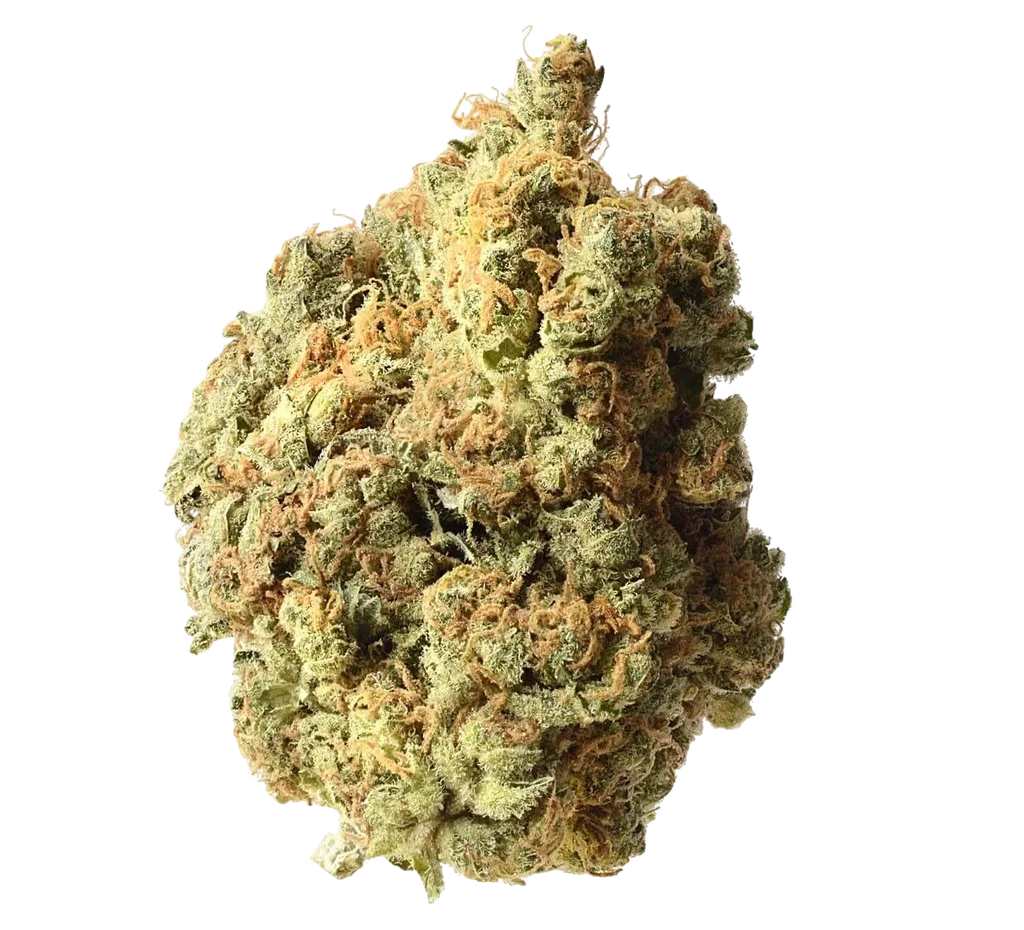 AK-020 Auto | AUTOFEM | Amsterdam Genetics