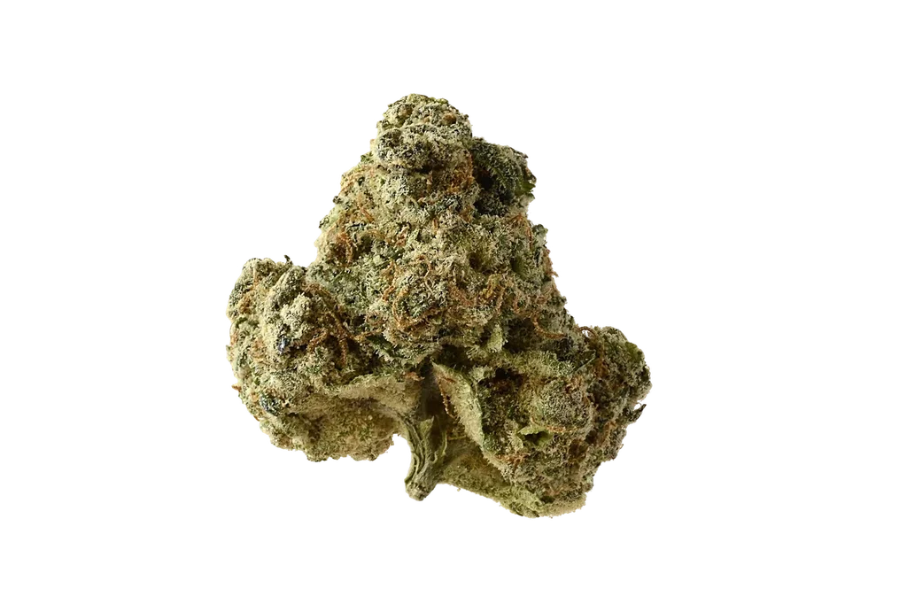 AK OG Kush | PHOTOFEM | Amsterdam Genetics