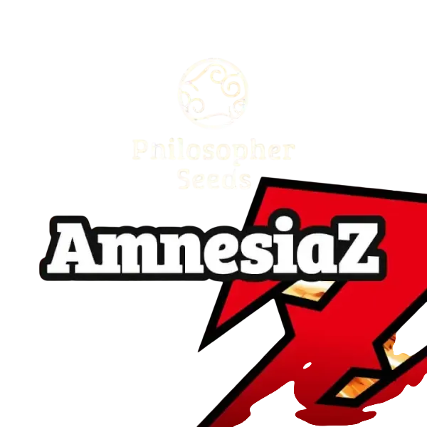 AmnesiaZ | PHOTOFEM | Philosopher Seeds