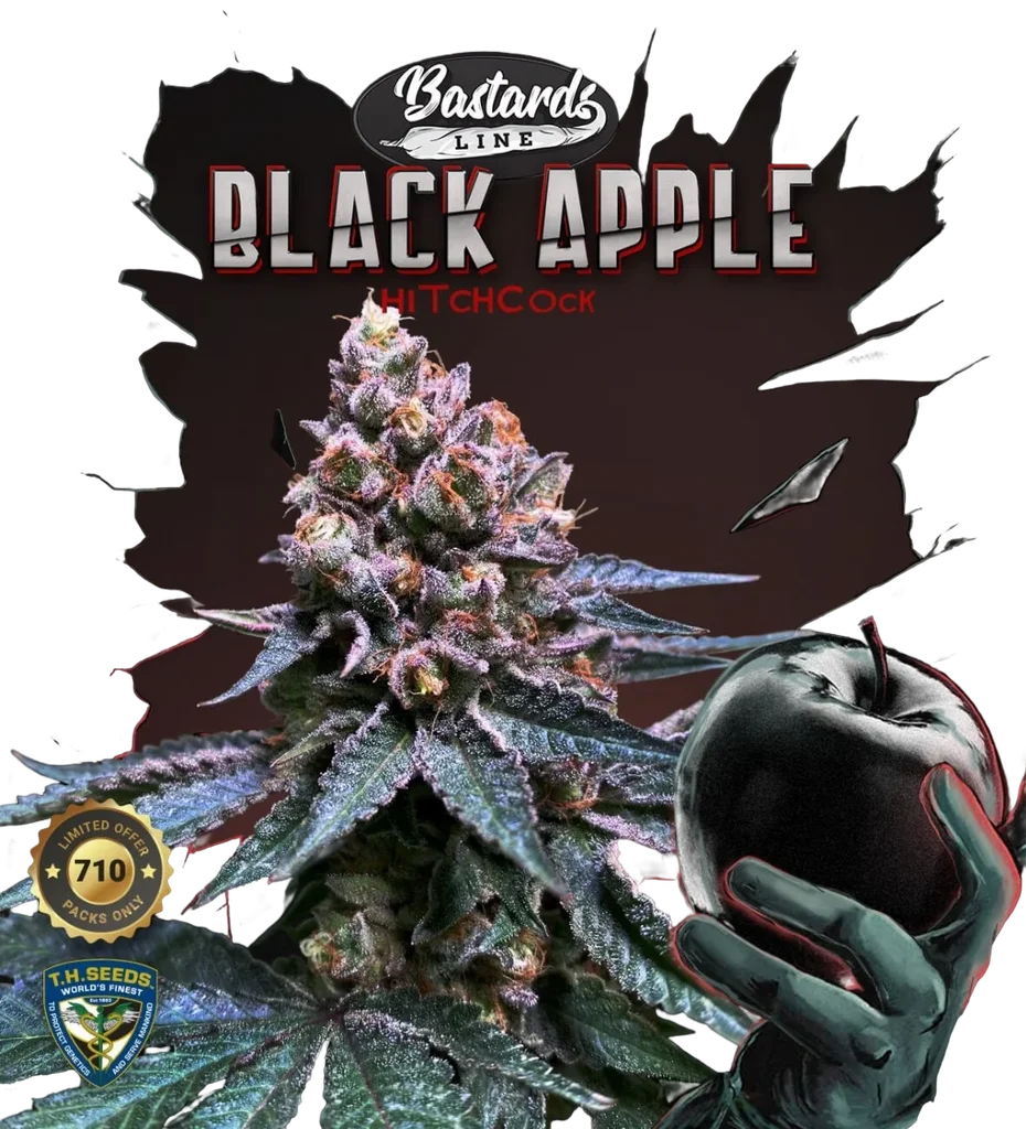 Black Apple Hitchcock | PHOTOFEM | T.H. Seeds
