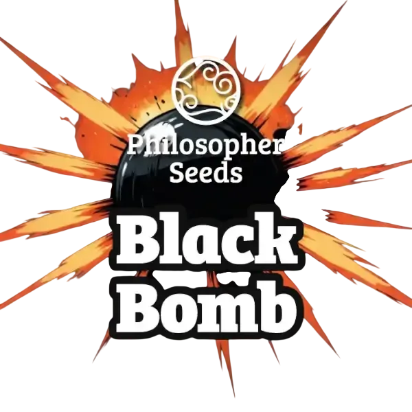Black Bomb | PHOTOFEM | Philosopher Seeds