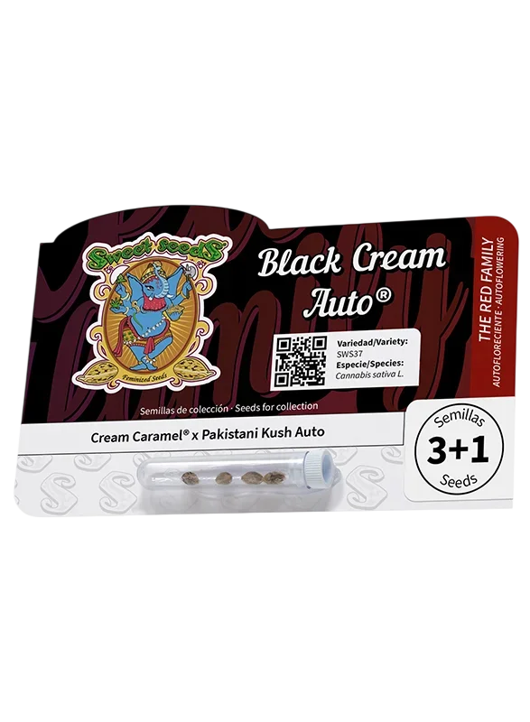 Black Cream Auto – Produktansicht