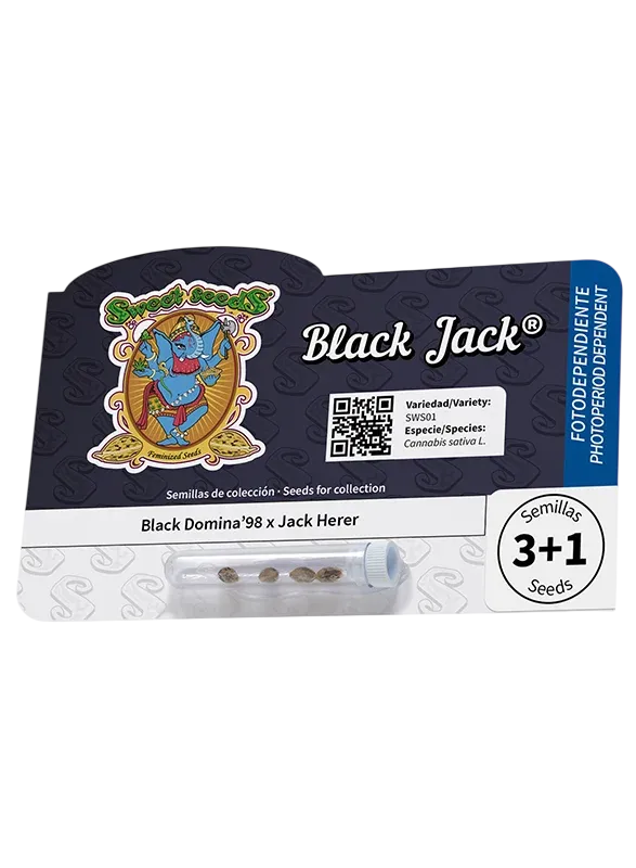Black Jack | PHOTOFEM | Sweet Seeds