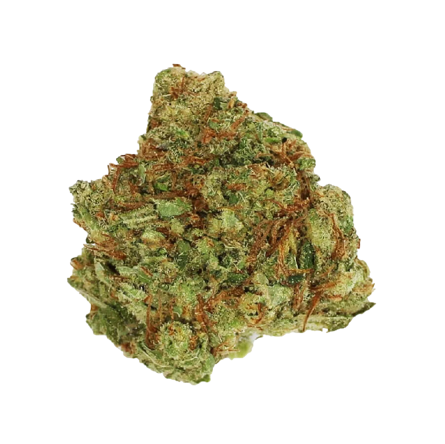 Blue Monkey CBD | PHOTOFEM | Amsterdam Genetics