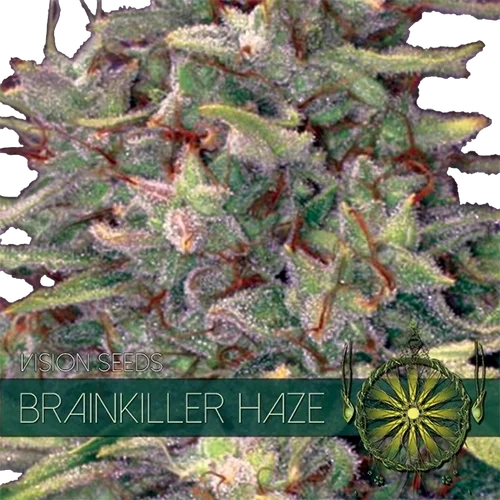 Brainkiller Haze