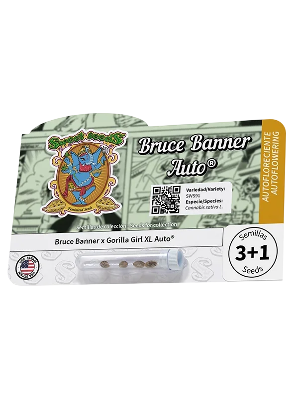 Bruce Banner Auto | AUTOFEM | Sweet Seeds