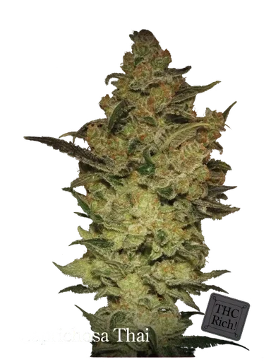 Caprichosa Thai