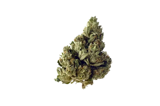 Choco Kush Auto