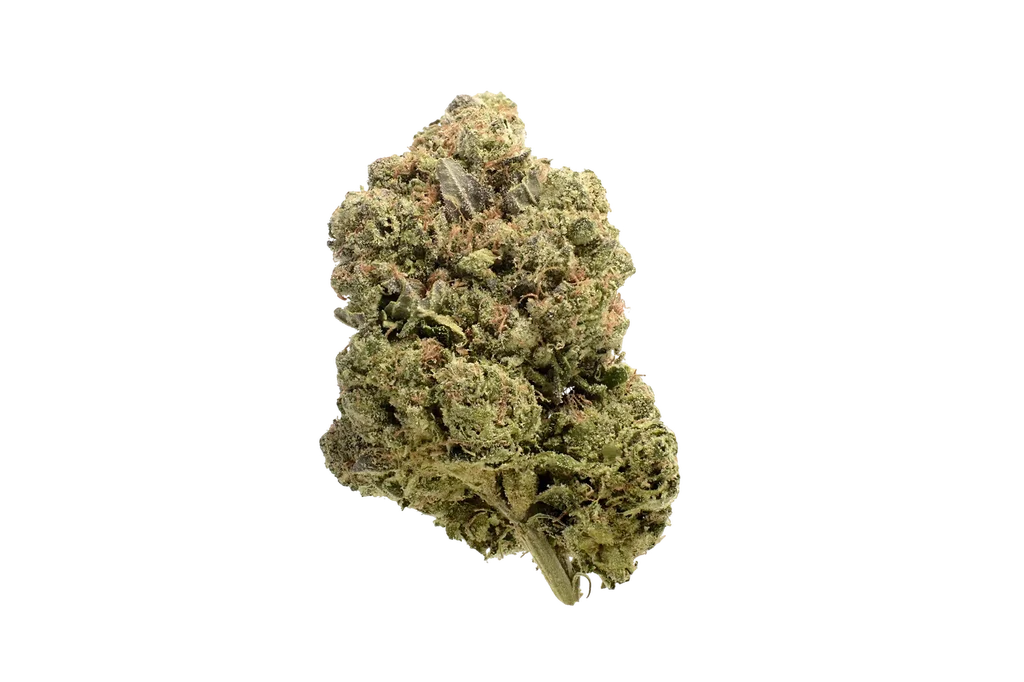 Chunky Cookies | PHOTOFEM | Amsterdam Genetics