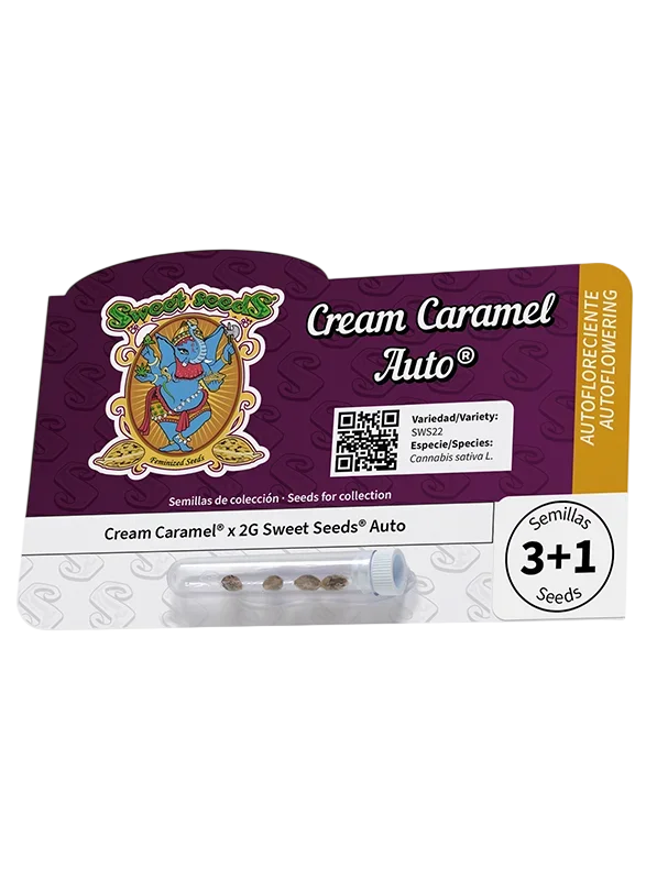 Cream Caramel Auto – Produktansicht