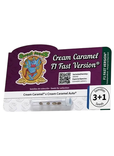 Cream Caramel F1 FAST Version